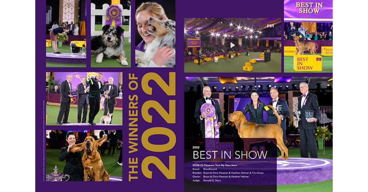 The Westminster Kennel Club 2023 Dog Show Digital Program 2023 Digital