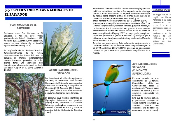 Especies Endémicas en Centro América 1 - Page 14