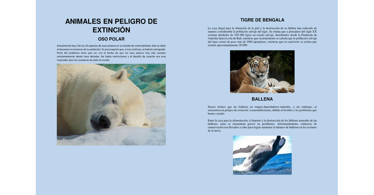 Revista ANIMALES EN PELIGRO Y EXTINTOS - Page 2