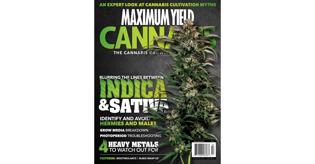 Maximum Yield Cannabis Canada March April 2023 maximum-yield-cannabis-canada-march-april-2023