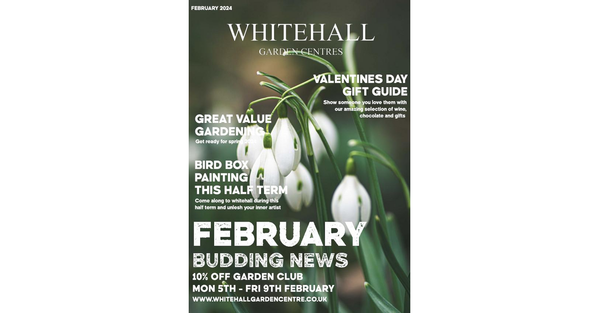 February Budding News 2024 february-budding-news-2024