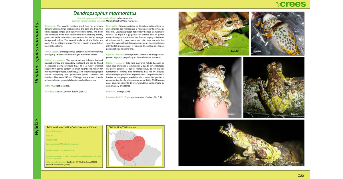 Field Guide: Amphibians of Manu Field Guide: Amphibians of Manu - Page 138