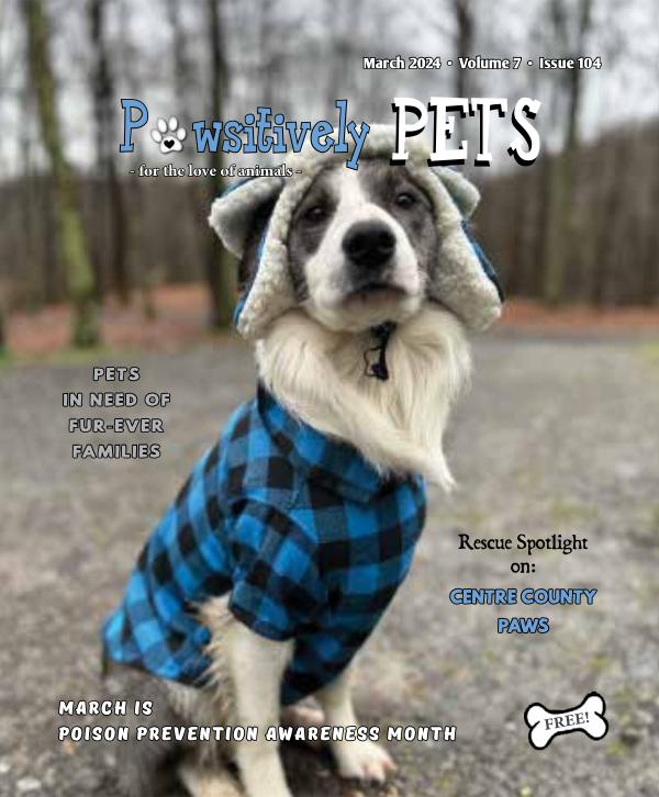 MARCH 2024 Pawsitively Pets issue to publish online