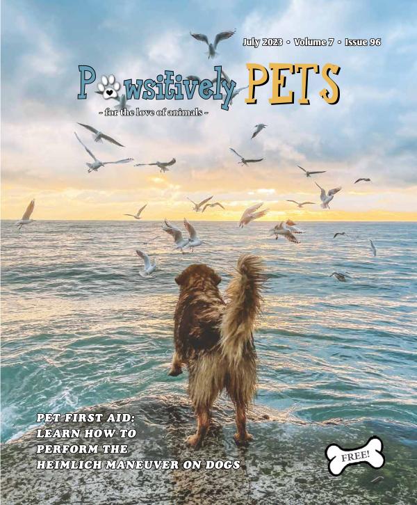 JULY '23  - Pawsitively Pets to publish online