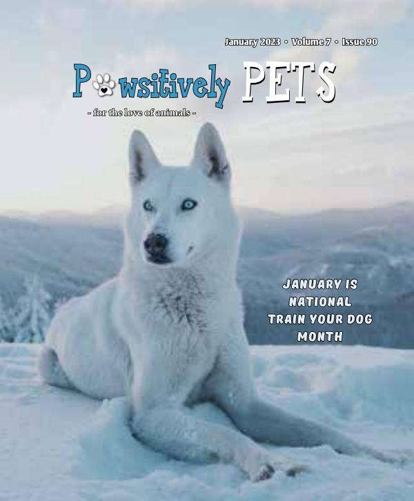 Pawsitively Pets - January 2023 issue to publish online