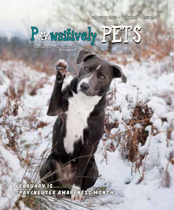 Pawsitively Pets - February 2023 issue to publish online