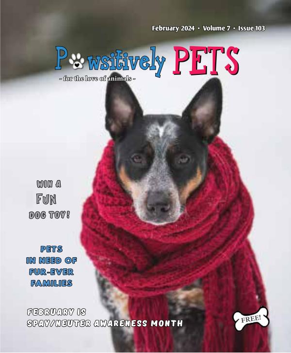 FEBRUARY 2024 Pawsitively Pets - issue to publish online