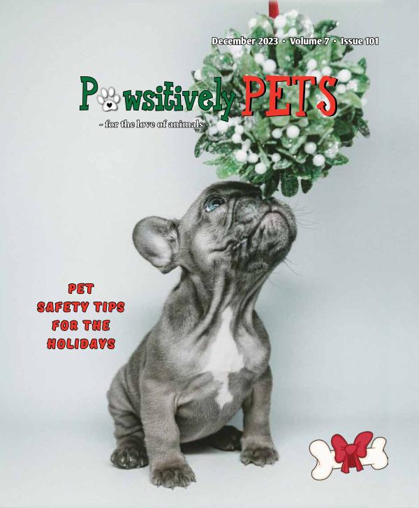 DECEMBER 2023 Pawsitively Pets issue to publish online