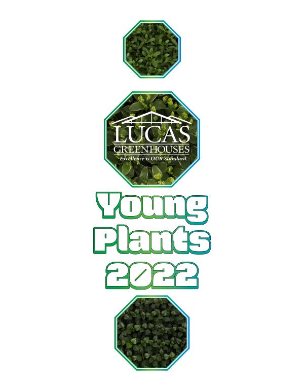 Young Plants 2022