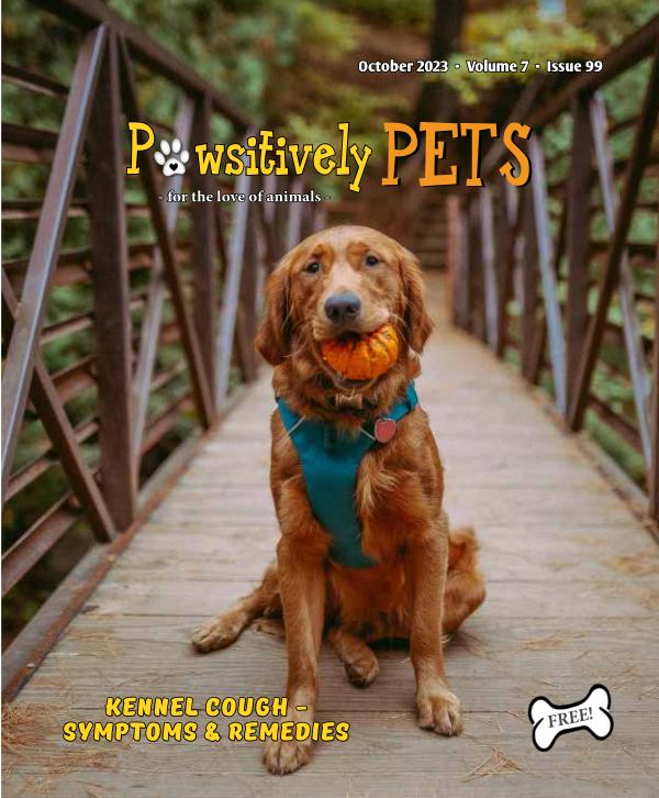 OCTOBER 2023  - Pawsitively Pets to publish online-