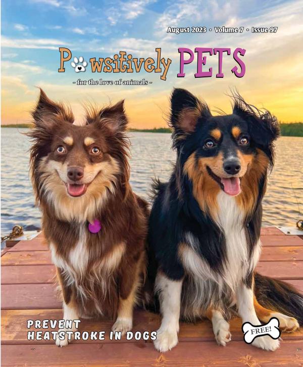 AUGUST '23  - Pawsitively Pets - to post online