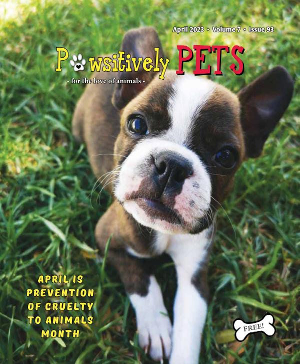 Pawsitively Pets - APRIL  2023 - to publish online