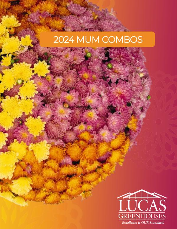 2024 Lucas Greenhouses Mum Combo Catalog 2024 Mum Combo Catalog