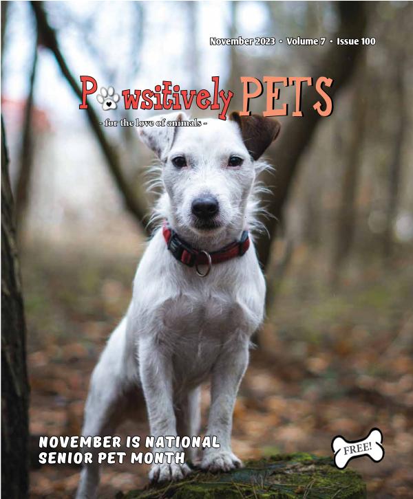 NOVEMBER 2023 Pawsitively Pets to publish online